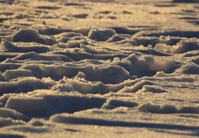 Spuren im Schnee