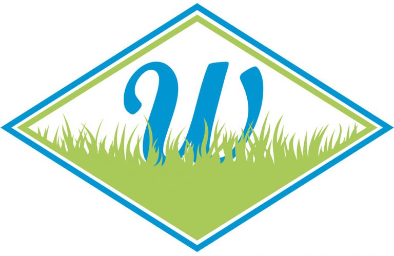 Logo Wiesensteig