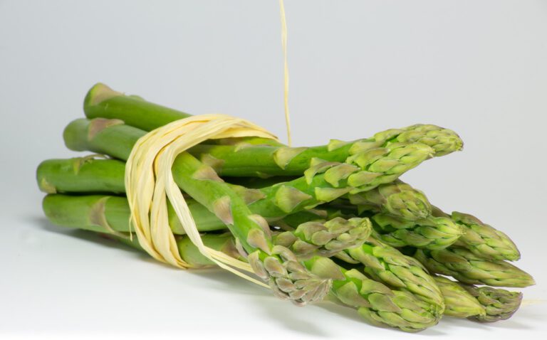 Spargel
