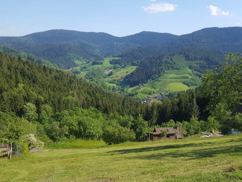 Schwarzwaldsteig Aussicht